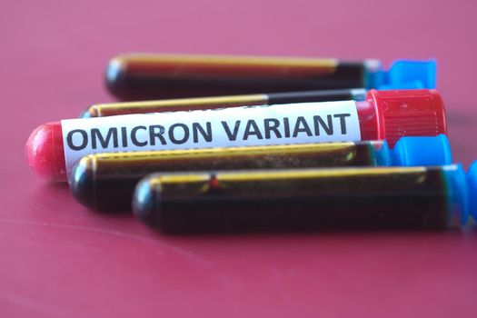 omicron variant corona virus blood test tube on red background