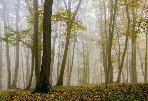 Transylvania autumn pictures