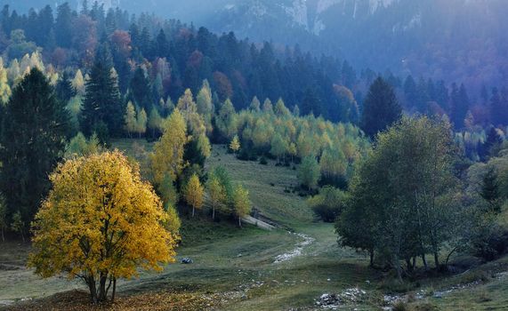 Transylvania autumn pictures