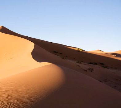 Picturesque Sahara Desert,Morocco landscape