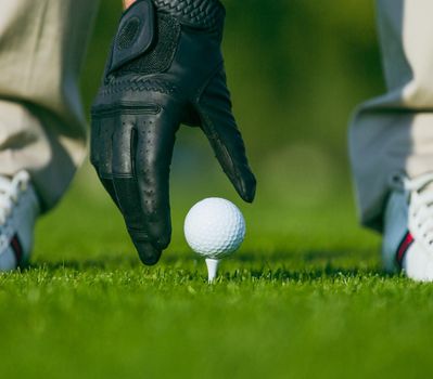 Hand in a Black Leather Glove Placing a Golf Ball on a Wooden Tee in the Middle of a Golf Course. Golf Ball on Tee Ready to be Shot. Close-up
