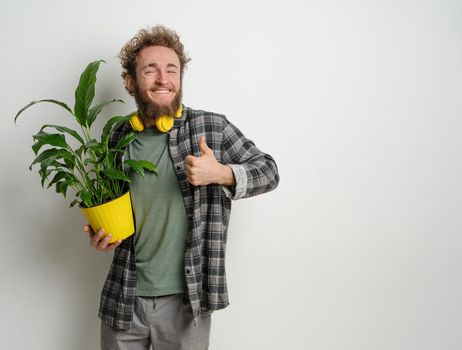 Young handsome bearded man holding yellow flower pot with plant in it dressed in plaid shirt and yellow headphones on his neck isolated on white background. Moving concept