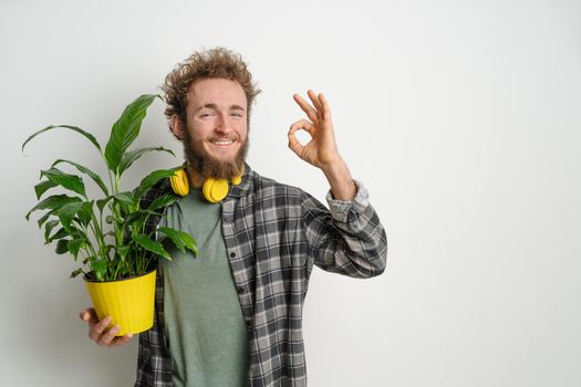 Young bearded man, dressed in plaid shirt, holding yellow flower pot with plant and showing OK gesture isolated on white background. Moving concept