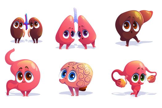 Cute characters of human internal organs