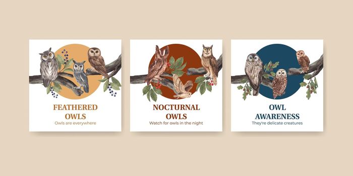 Banner template with owl bird concept,watercolor style