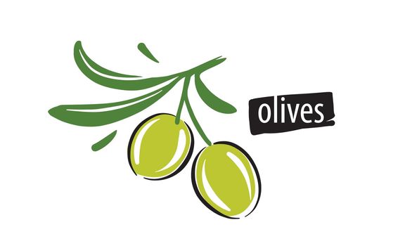 Drawn vector olives on a white background