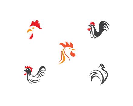Rooster vector icon