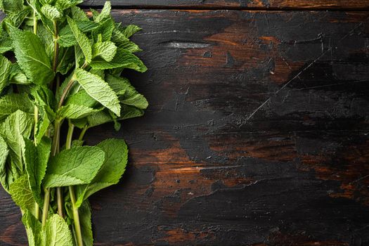 Fresh spearmint or mint leaves , on old dark wooden table background, top view flat lay, with copy space for text