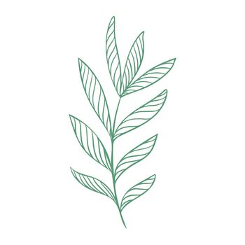 Striped leafy greenery branch isolated vector illustration