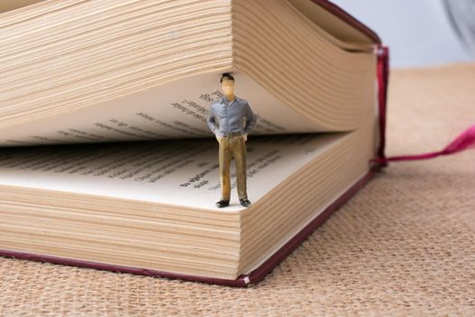 Figurine standing inside the pages of a book