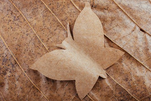 Paper butterfly Macro view of dry leaf texture