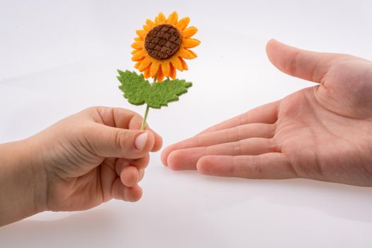 Baby giving a fake flower on  white background