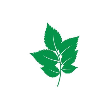 mint leaf logo 