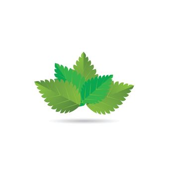 mint leaf logo 