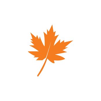 oak leaf logo vector