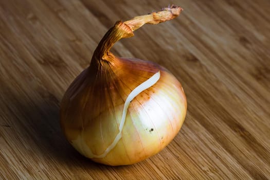 Detail of onion on wooden table