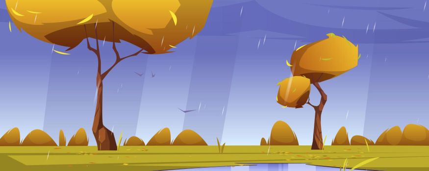 Autumn landscape with orange trees, bushes, rain and puddles. Vector cartoon illustration of nature scene with lawn, falling water drops, clouds and flying birds. Rural meadow at rainy weather