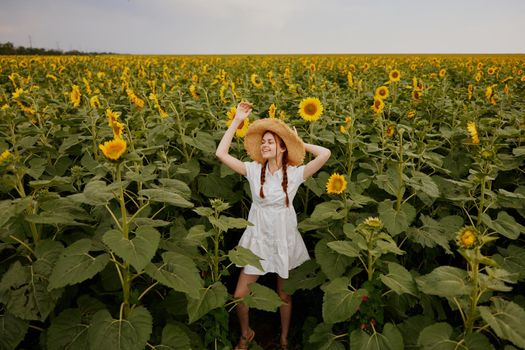 woman with pigtails In a field with blooming sunflowers landscape. High quality photo
