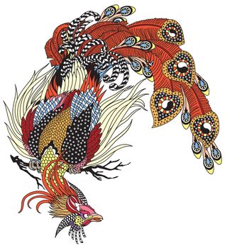 Chinese phoenix or Feng Huang magical bird