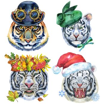 Set of tiger portraits. Wild animal watercolor illustration on white background