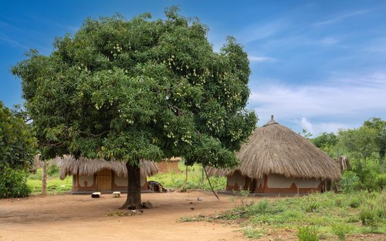 Village, Uganda, East Africa