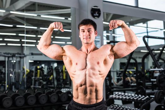 Bodybuilder man with perfect biceps, triceps and chest in the gym