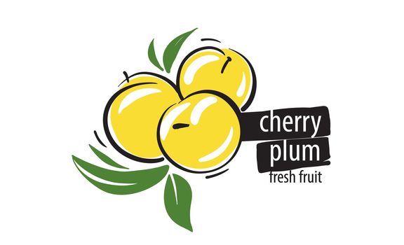 Drawn vector cherry plum on a white background