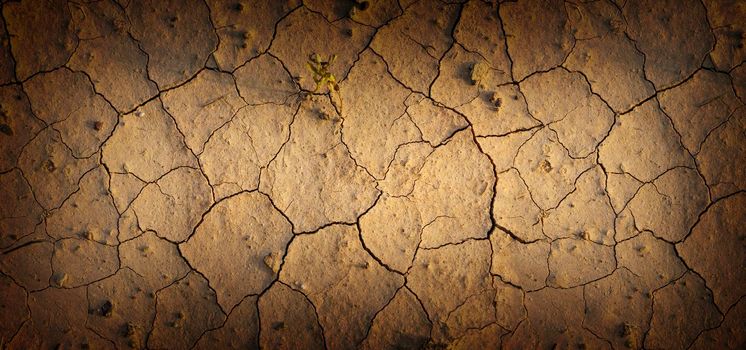 Close-up of dry and desert land, cracked and textured effect of drought and climate change.