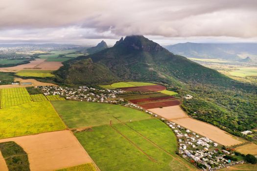 View from the height of the sown fields located on the island of Mauritius