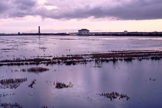 Flooded rice field for sowing with clouds.Albufera Valencia