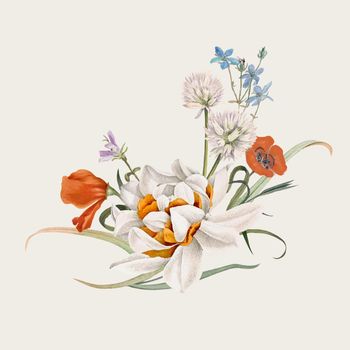 Vintage spring flower vector illustration, remixed from public domain artworks
