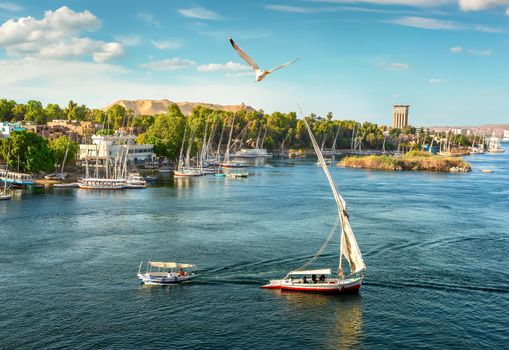 Nile river and beautiful boats