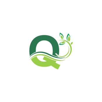 Letter Q Icon with floral logo design template illustration