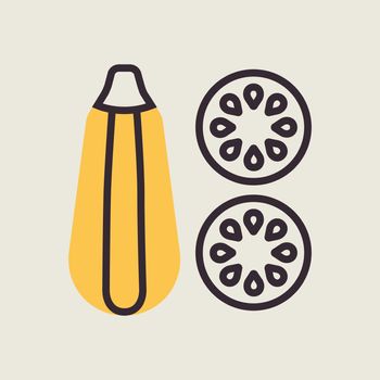 Zucchini vector icon. Vegetable symbol
