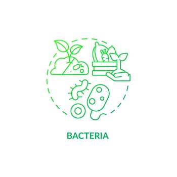 Bacteria green gradient concept icon