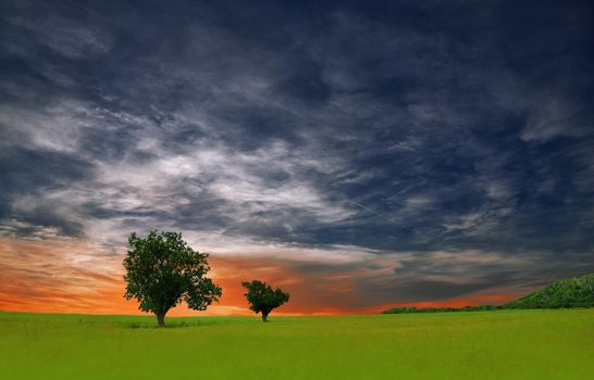 Beautiful Tranquil Nature Background.Amazing Rural Scene.Art Design.Creative Photography.Conceptual Photo.Fantasy Art.Artistic Wallpaper.Yellow Color.Green Field at Sunset.