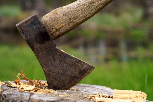 Old rusty axe with wooden handle stuck in the stump. blurred background with pile of wood logs, Large ax sticks out in felled wood of background of forest.