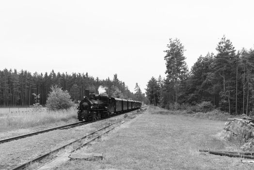 Steaming by the siding in Lower Austria in Black and White
