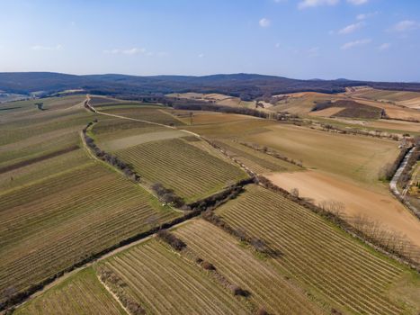 Wintertime Vineyards from above in Lower Austria