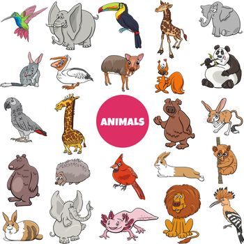 cartoon wild animal species characters big set
