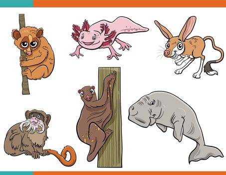 funny cartoon wild animals characters set