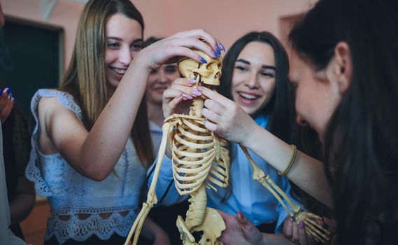 Cheerful students examine the human skeleton in the classroom.