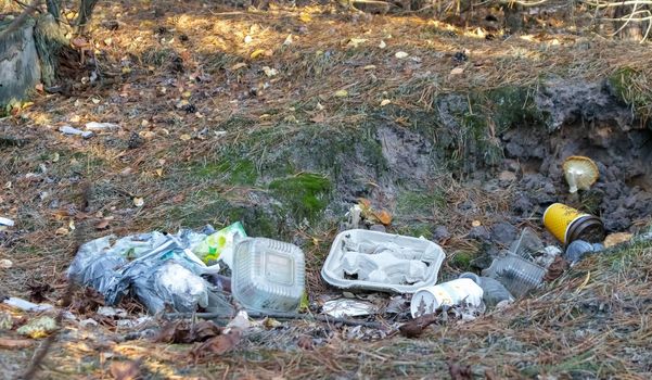 Garbage dump in the forest, pollution of nature. People illegally threw garbage into the forest. The concept of man and nature. Dirty environment polluting garbage near the hiking trail in the forest.