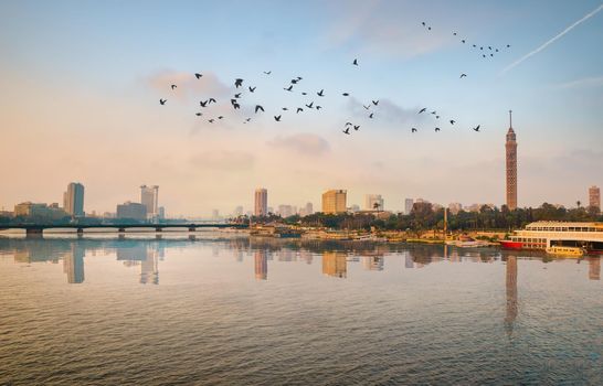 Flock of birds over river Nile
