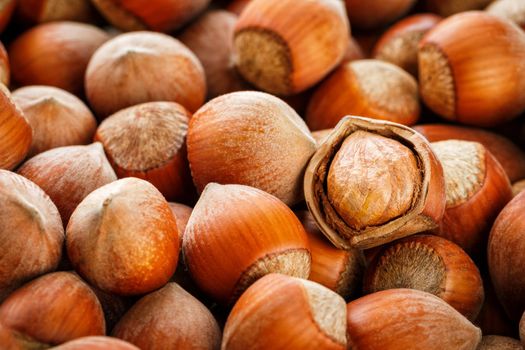 Hazelnuts. Stack of hazelnuts. Food background. Hazelnut background. Hazelnuts in shells background