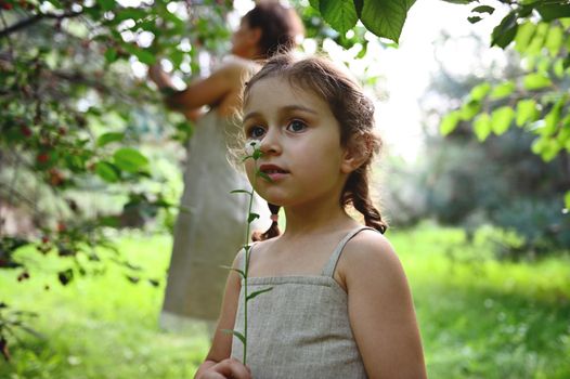 Beautiful little girl enjoying the scent of a wildflower against the background of her mother picking cherries in the garden