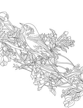 Bird Standing On Tree Branch Line Drawing Colouring Book idea