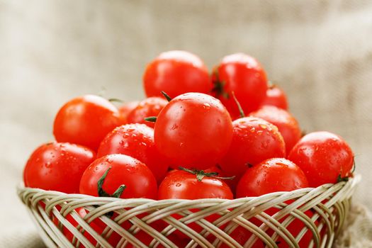 Ripe and juicy cherry tomatoes with drops of moisture in a wicker basket. Old wooden table, around the canvas of burlap