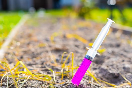 A syringe with a strong chemical fertilizer is stuck in a garden bed