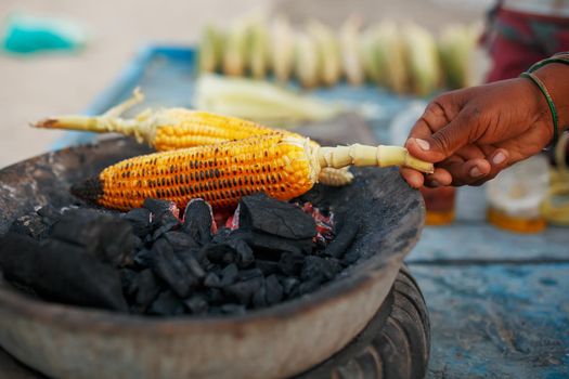 Golden Corn cobs on the coals in the grill. On the Arambol beach at sunset. Asian, Indian street food